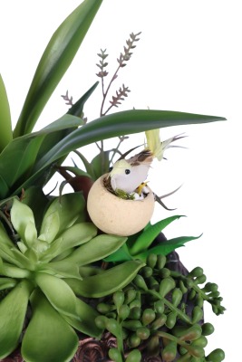 Beton Dekoratif Saksıda Bitkili Aranjman Model 1 - 4