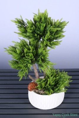 Beton Saksıda Dekoratif Mini Yapay Ağaç Bonus Model 50 cm - 2