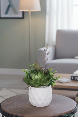 Beton Saksıda Yapay Bitkili Tanzimler Model 13 - 4