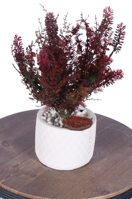 Beton Saksıda Yapay Bitkili Tanzimler Model 14 - Yapay Çiçek Sitesi