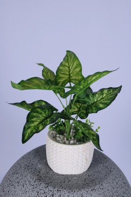 Beton Saksıda Yapay Bitkili Tanzimler Model 20 - 2