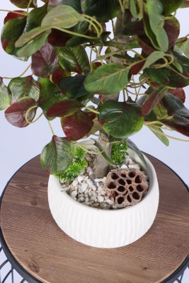 Beton Saksıda Yapay Bitkili Tanzimler Model 21 - 2