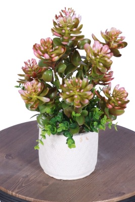 Beton Saksıda Yapay Bitkili Tanzimler Model 8 - Yapay Çiçek Sitesi