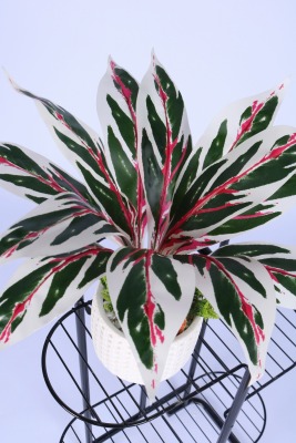 Beton Saksıda Yapay Çiçekli Tanzimler Model 15 - 3