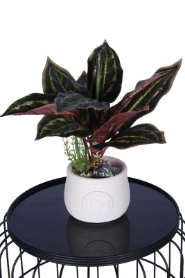 Beton Saksıda Yapay Dua Çiçeği 35 cm - Yapay Çiçek Sitesi