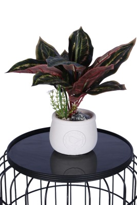 Beton Saksıda Yapay Dua Çiçeği 35 cm - 2