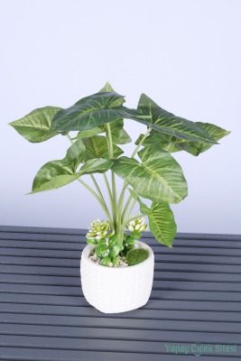 Beton Saksıda Yapay Tropik Ok Yapraklı Bitki 45 Cm - Yapay Çiçek Sitesi