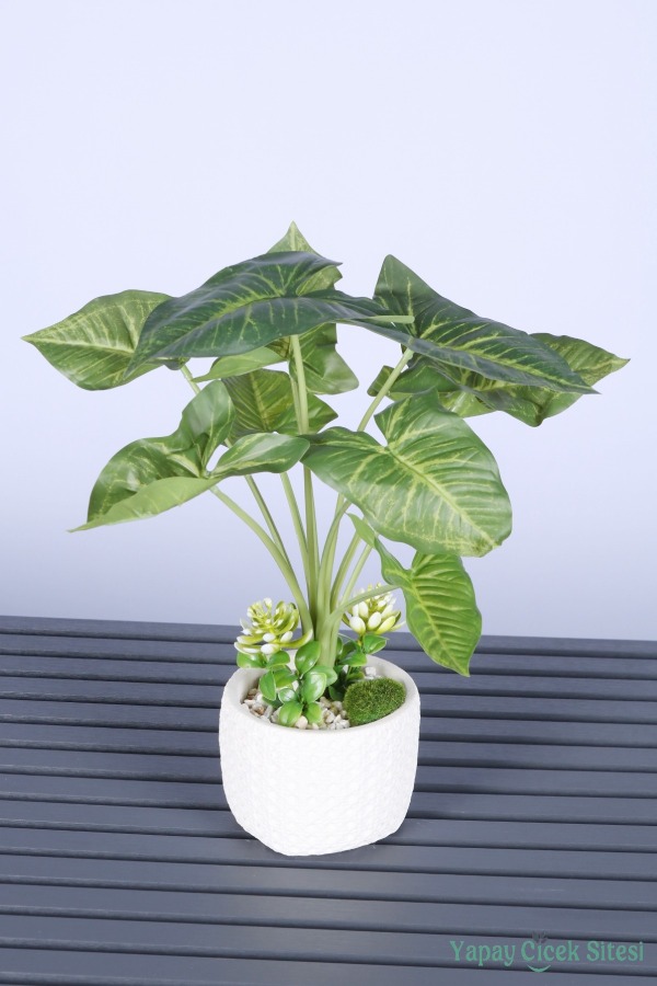 Beton Saksıda Yapay Tropik Ok Yapraklı Bitki 45 Cm - 1
