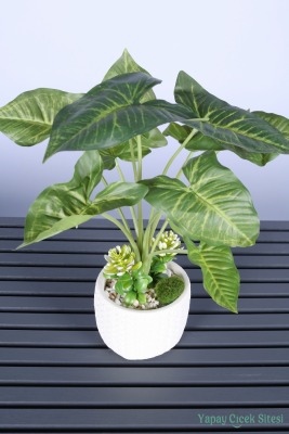 Beton Saksıda Yapay Tropik Ok Yapraklı Bitki 45 Cm - 3