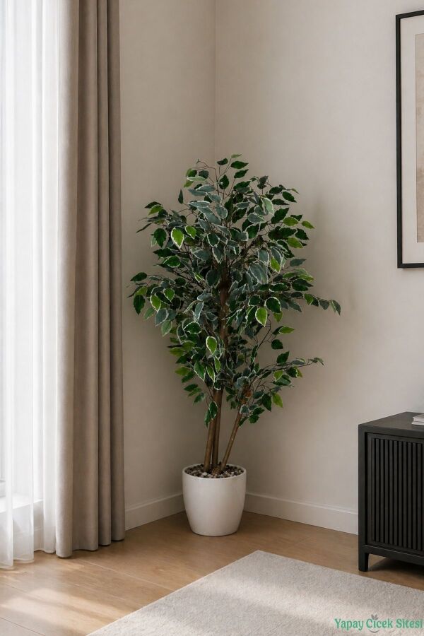 Beyaz Saksıda Yapay Benjamin (Ficus) Ağacı 130 cm Yeşil-Beyaz - 1