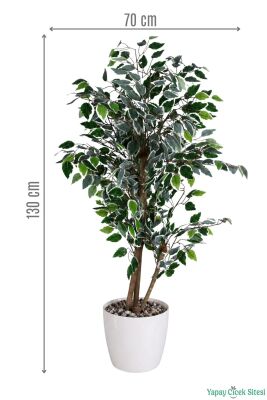Beyaz Saksıda Yapay Benjamin (Ficus) Ağacı 130 cm Yeşil-Beyaz - 2