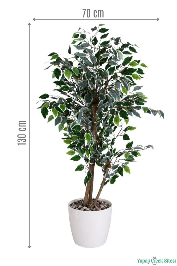 Beyaz Saksıda Yapay Benjamin (Ficus) Ağacı 130 cm Yeşil-Beyaz - 2