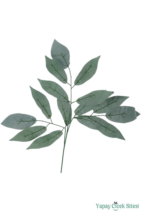 Ceviz Ağacı Dalı 15 Yapraklı 70 Cm 12 Adet Kapalı Yeşil - 1