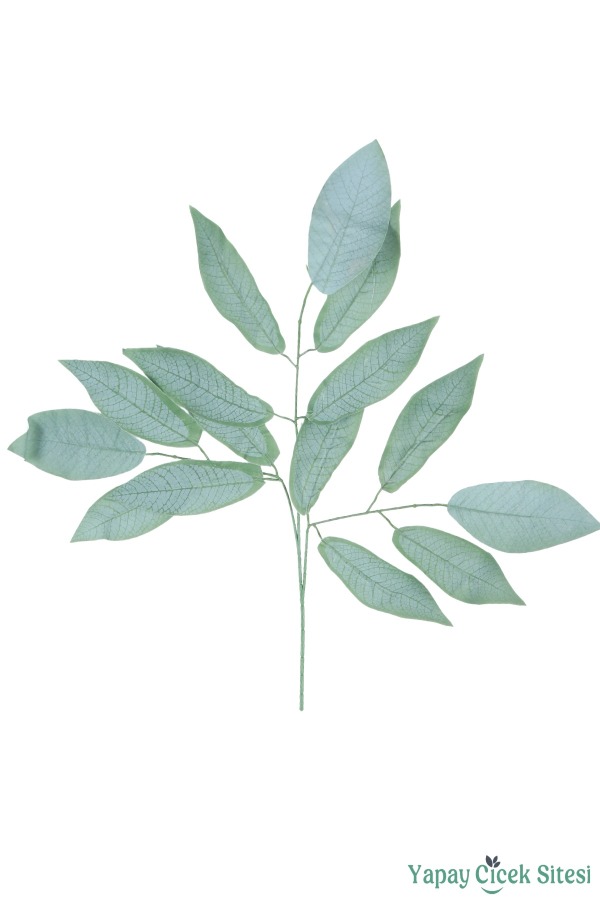 Ceviz Ağacı Dalı 15 Yapraklı 70 Cm 12 Adet Kapalı Yeşil - 2