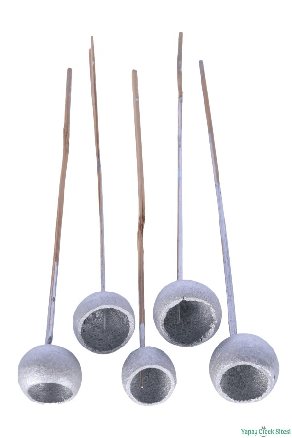 Dekoratif Doğal Kabak 50 cm 5li Gümüş - 5