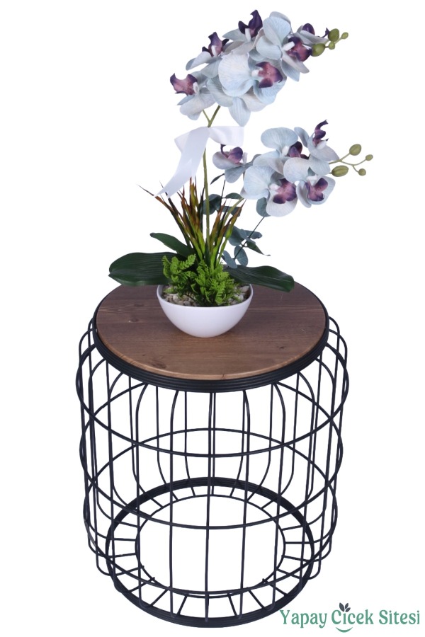 Dekoratif Melamin Saksıda Bol Yeşillikli Orkide Tanzimi Beyaz - 2