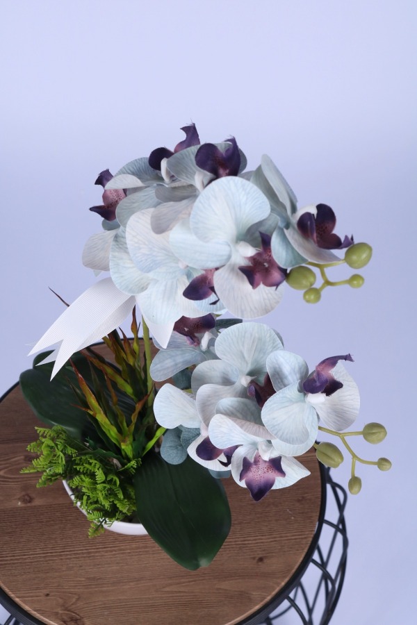 Dekoratif Melamin Saksıda Bol Yeşillikli Orkide Tanzimi Beyaz - 3