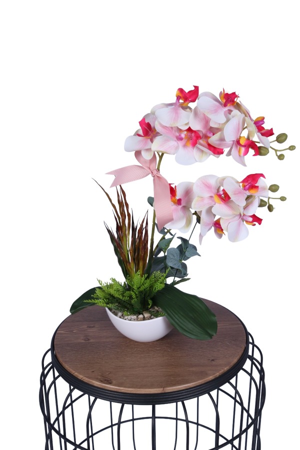 Dekoratif Melamin Saksıda Bol Yeşillikli Orkide Tanzimi Pembe - 1