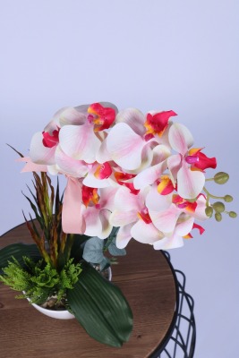 Dekoratif Melamin Saksıda Bol Yeşillikli Orkide Tanzimi Pembe - 3