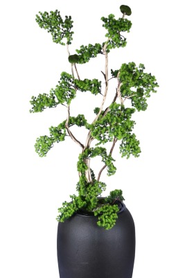 Dev Fiber Saksıda Yapay Bonsai Ağacı 220 Cm - 2