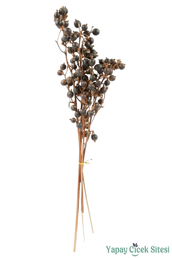 Kuru Çiçek Doğal Böğürtlen Dalı 60 cm 5li - 1