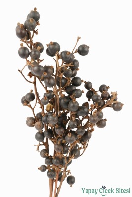 Kuru Çiçek Doğal Böğürtlen Dalı 60 cm 5li - 2