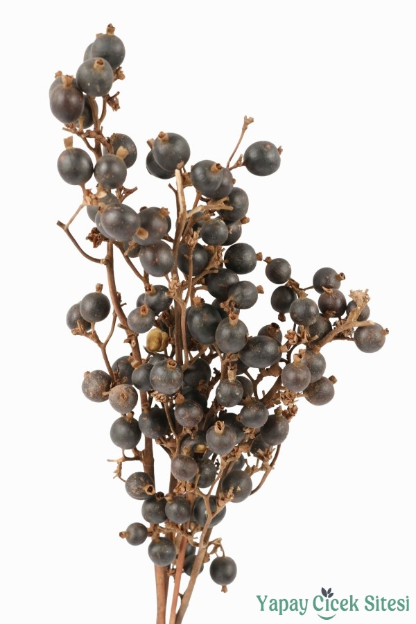 Kuru Çiçek Doğal Böğürtlen Dalı 60 cm 5li - 2