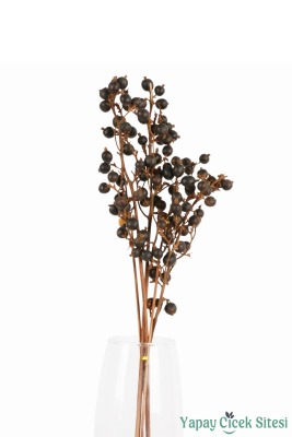 Kuru Çiçek Doğal Böğürtlen Dalı 60 cm 5li - 3