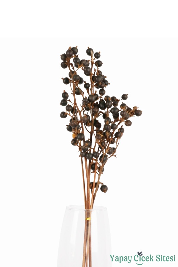Kuru Çiçek Doğal Böğürtlen Dalı 60 cm 5li - 3
