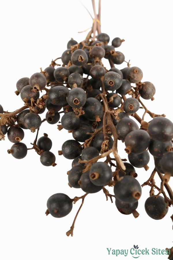 Kuru Çiçek Doğal Böğürtlen Dalı 60 cm 5li - 4