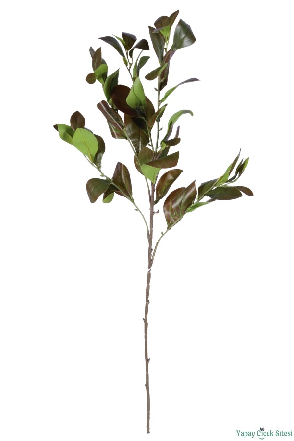 Doğal Görünümlü Yapay Manolya Dalı 85 cm Yeşil - 3