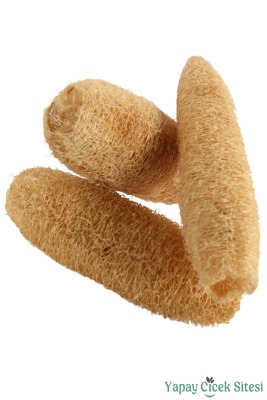 Kuru Çiçek Doğal Tropikal Luffa 17 cm 3lü - 2