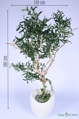 Fiber Saksıda bonsai Gövdeli Premium Yapay Zeytin Ağacı 180 cm - Yapay Çiçek Sitesi