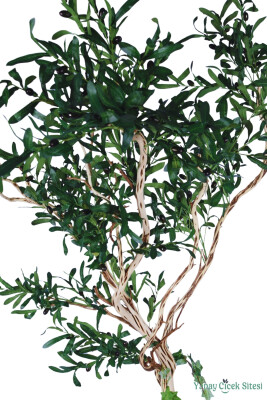 Fiber Saksıda bonsai Gövdeli Premium Yapay Zeytin Ağacı 180 cm - 2