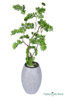 Fiber Saksıda Doğal Gövdeli Bonsai Yapay Ağaç 190 Cm - 2