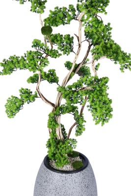 Fiber Saksıda Doğal Gövdeli Bonsai Yapay Ağaç 190 Cm - 3