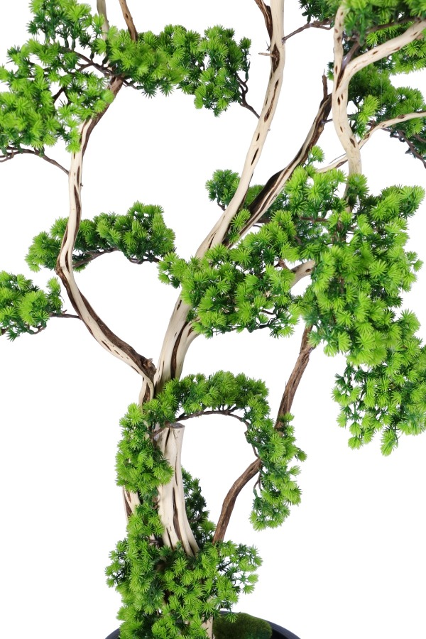Fiber Saksıda Doğal Gövdeli Bonsai Yapay Ağaç 190 Cm - 6