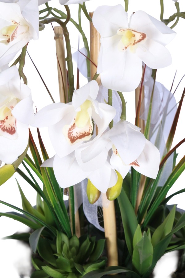 Fiber Saksıda Yapay Orkide Tanzimi Beyaz 55 cm - 2