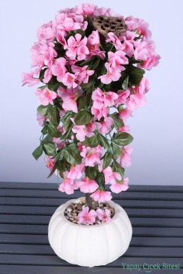 Kabak Saksıda Sarkan Sakura Ağacı 55 Cm - 2