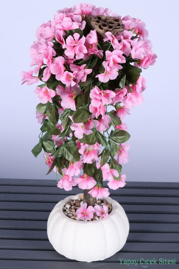 Kabak Saksıda Sarkan Sakura Ağacı 55 Cm - 2