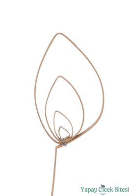 Rattan Cane Pradeep 60 Cm 10lu - 3