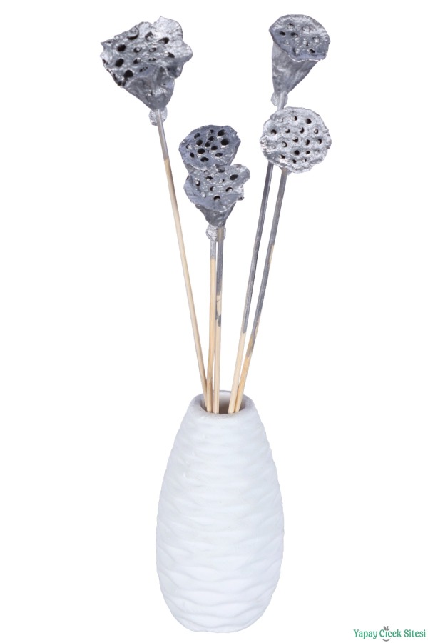 Kuru Çiçek Doğal Lotus 28 cm 10lu - 2