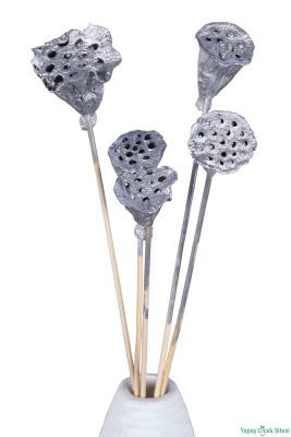 Kuru Çiçek Doğal Lotus 28 cm 10lu - 3