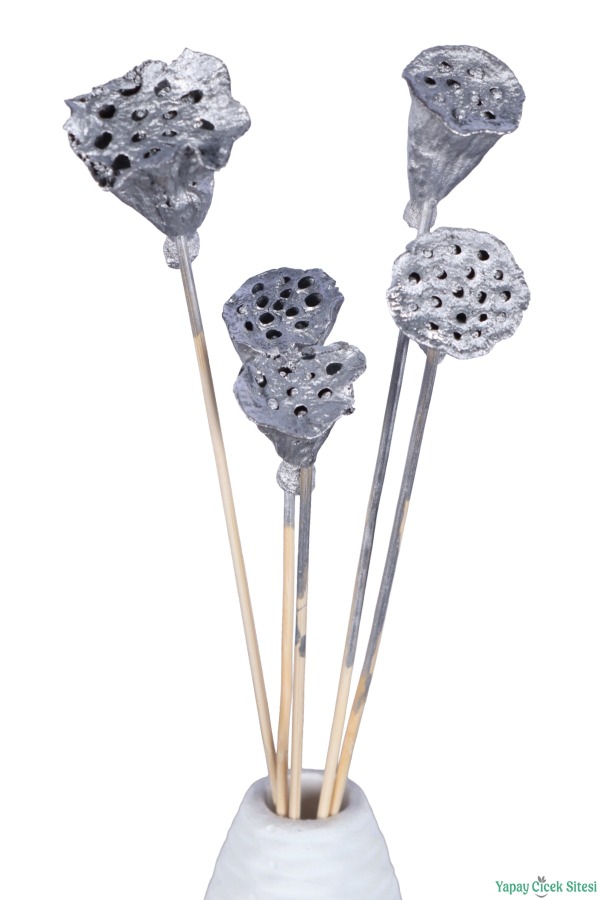 Kuru Çiçek Doğal Lotus 28 cm 10lu - 3