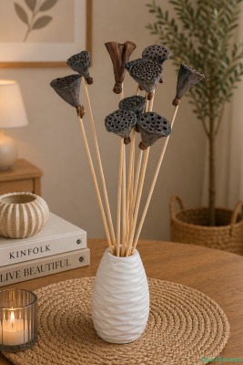 Kuru Çiçek Doğal Lotus 28 cm 10lu - Yapay Çiçek Sitesi