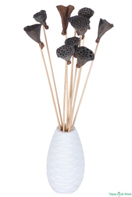 Kuru Çiçek Doğal Lotus 28 cm 10lu - 3