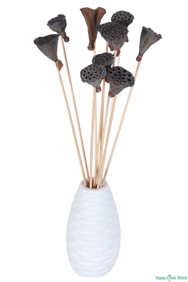 Kuru Çiçek Doğal Lotus 28 cm 10lu - 3