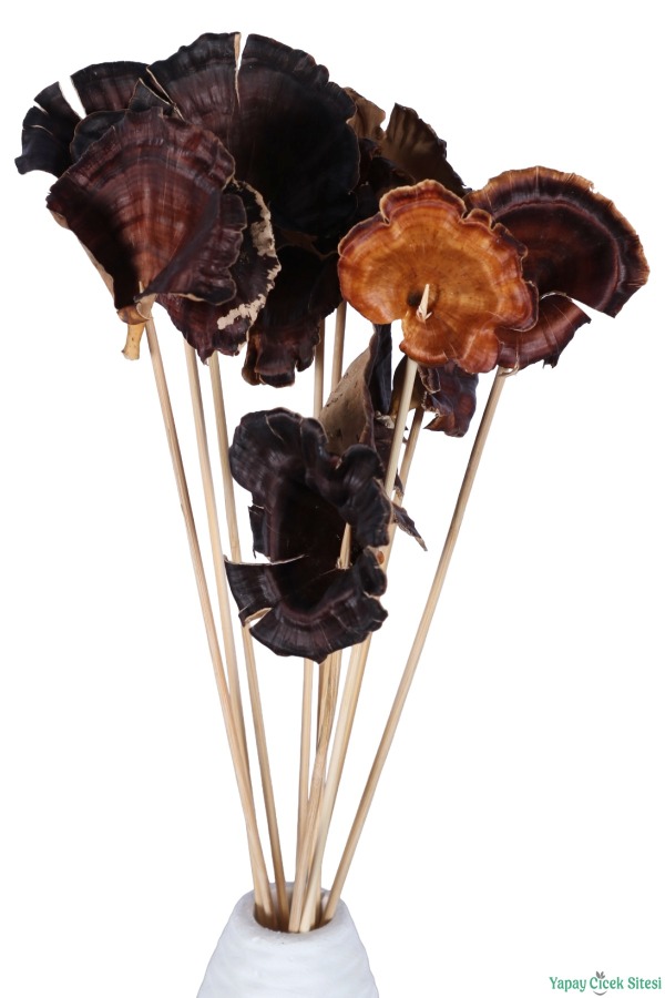 Kuru Çiçek Doğal Mushroom (Mantar) 28 cm 10lu - 2