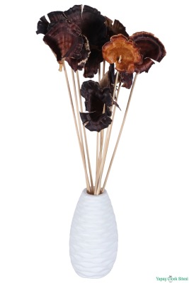 Kuru Çiçek Doğal Mushroom (Mantar) 28 cm 10lu - 3