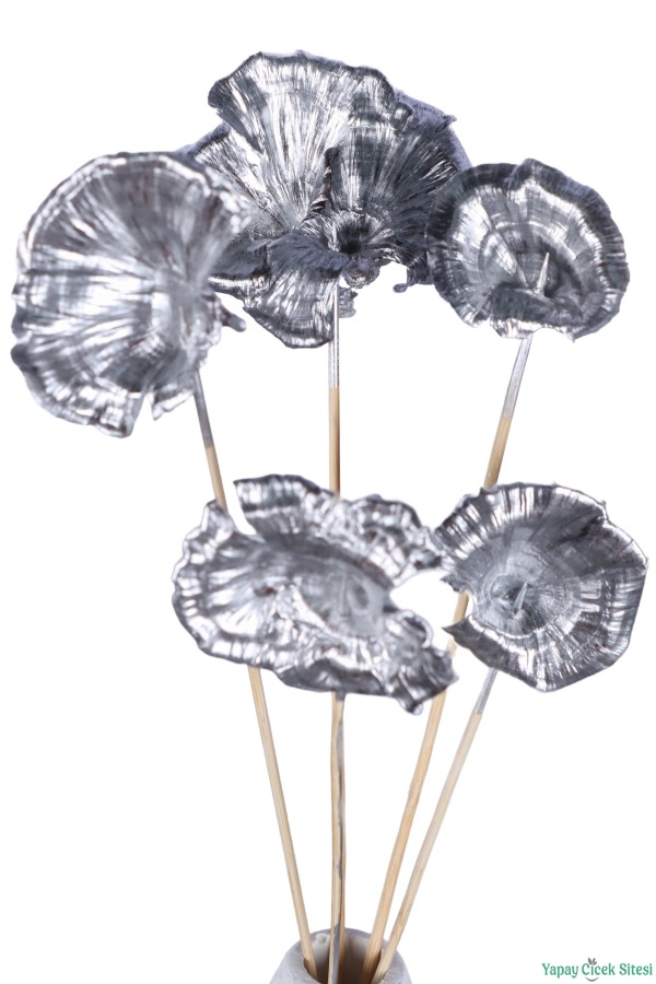 Kuru Çiçek Doğal Mushroom (Mantar) 28 cm 5li Gümüş - 3
